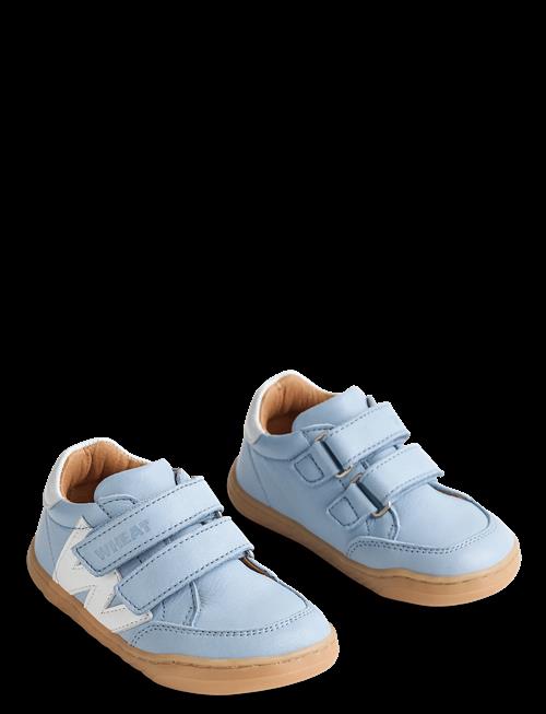 Wheat | Sneaker Barres | 34