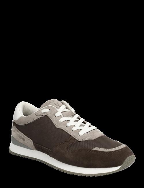 Lloyd | Swift | 40.5