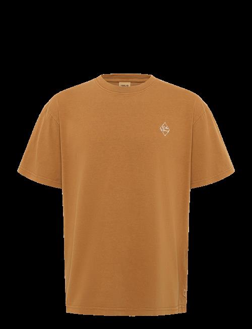Solid | Sdrobyn | S