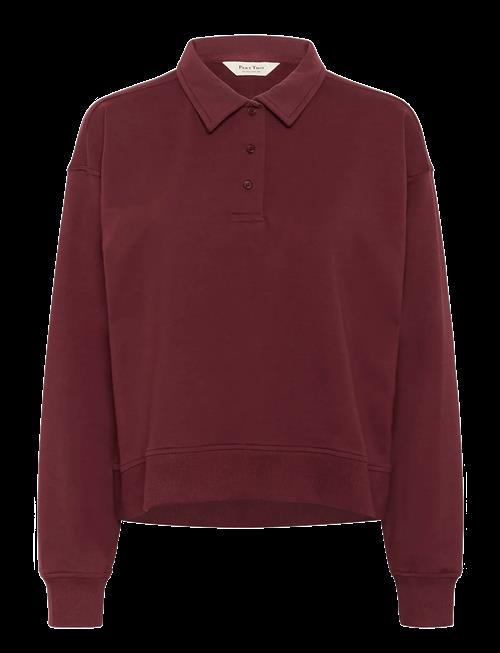 Part Two | Satyapw Sw | XXL