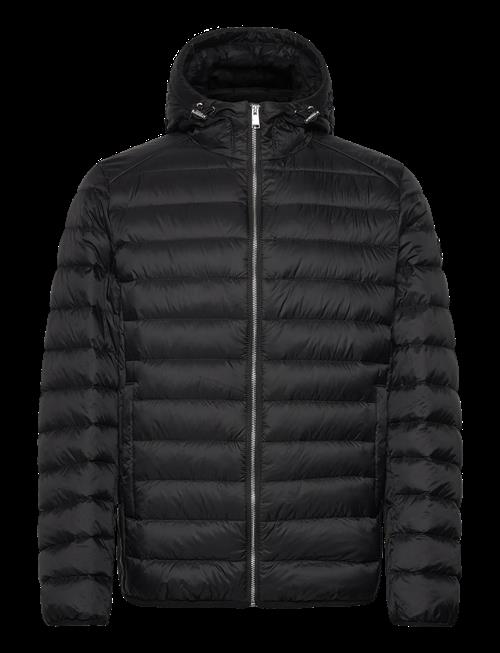 BOSS | H-Dimeo | 54