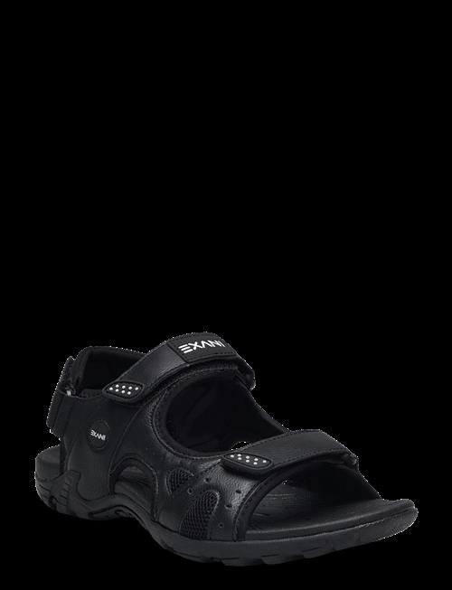 Exani | Spider Pro W | 37