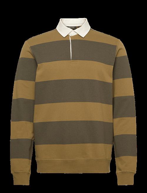 INDICODE | Indisnar Stripe | M