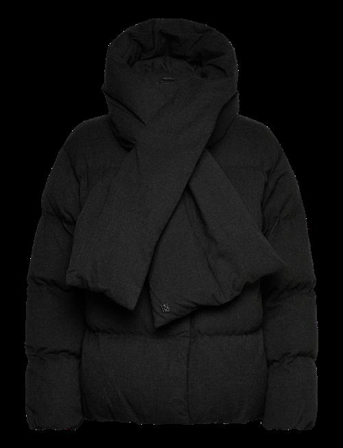 HUGO | Fardot-1 | M
