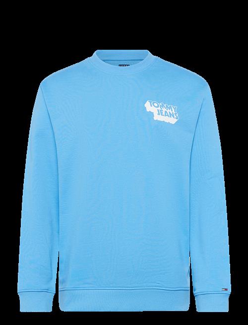 Tommy Jeans | Tjm Reg Stack Crew Ext | XS