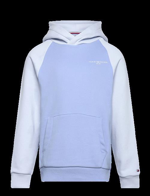 Tommy Hilfiger | Mini Corp Logo Hoodie | 128