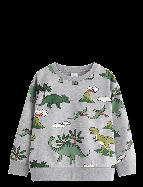 Lindex | Sweatshirt Dino Aop | 92
