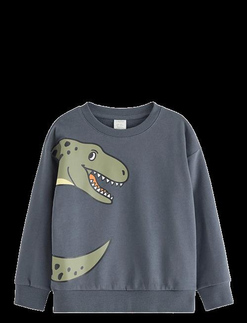 Lindex | Sweatshirt Dino Placement | 104