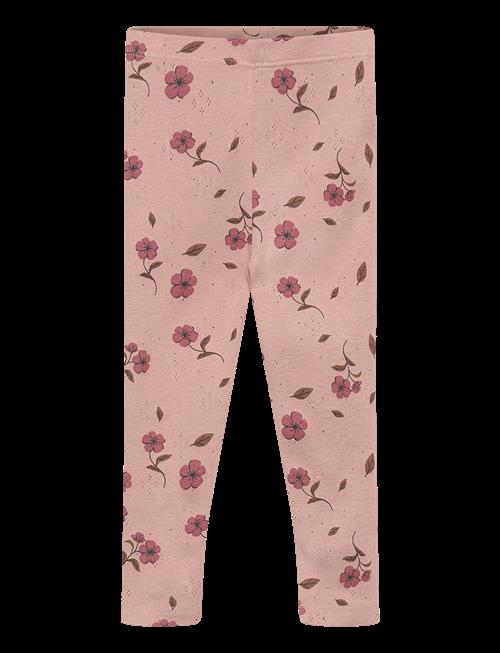 The New | Tnsbpicole Pointelle Leggings | 56