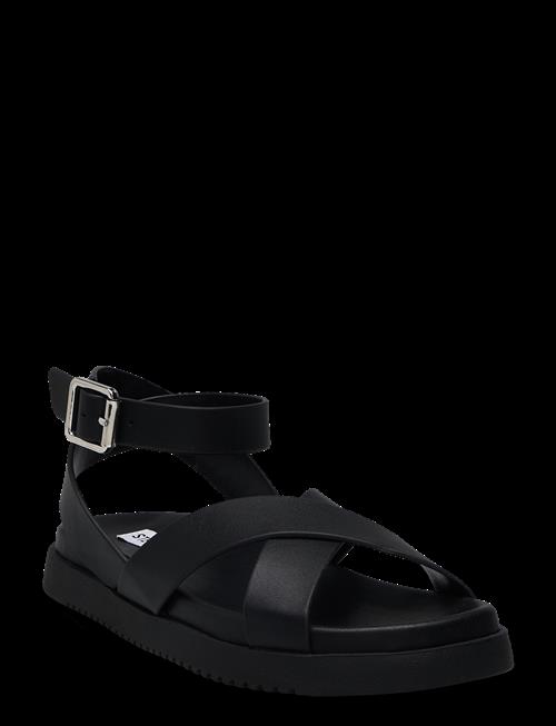 Steve Madden | My Bestie Sandal | 37