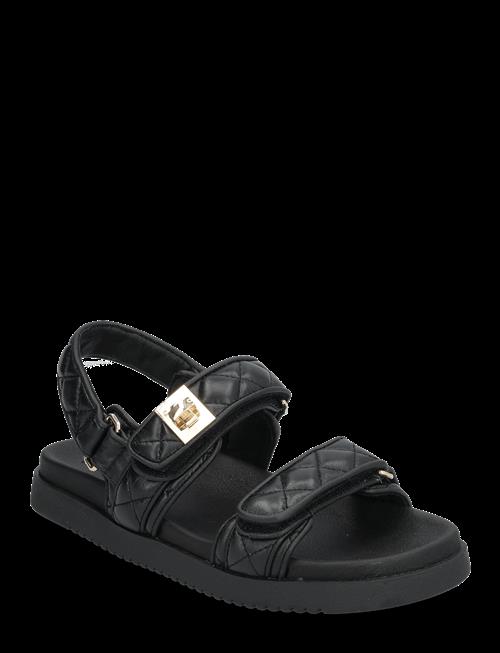 Steve Madden | Mona-Q | 37