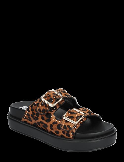 Steve Madden | Freelance-L Slides | 40