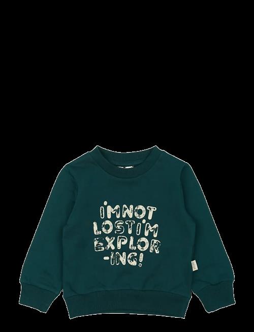 Petit Piao | Ppdov Sweat Shirt | 68