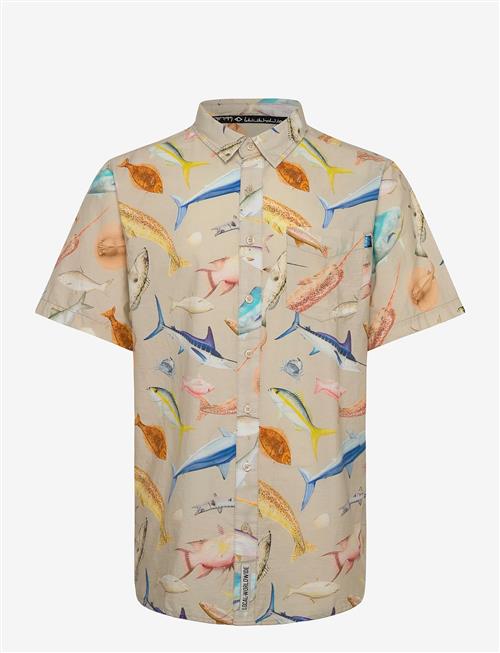KAVU | Festaruski | S