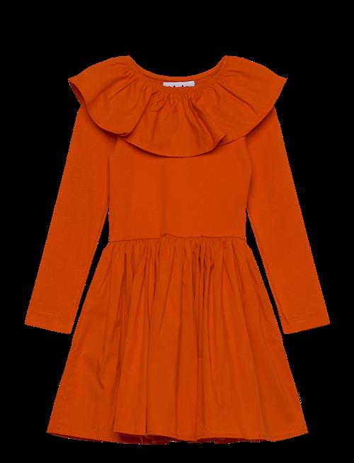 Molo | Cille | 146/152