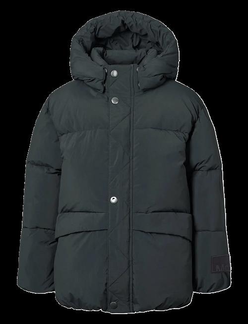 Molo | Hayden | 122