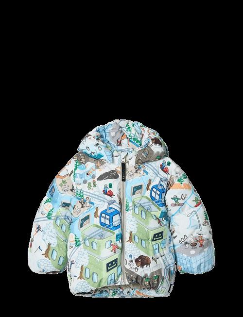 Molo | Harpo | 68
