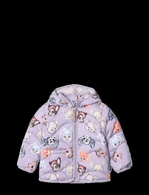 Molo | Harmony | 98