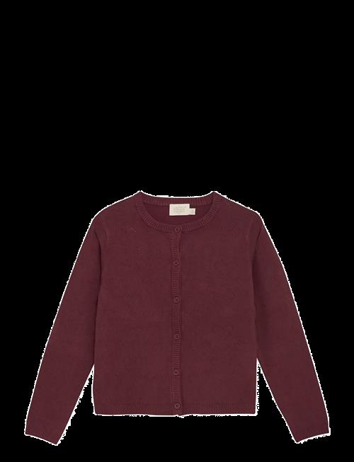 Creamie | Cardigan Pointelle | 104