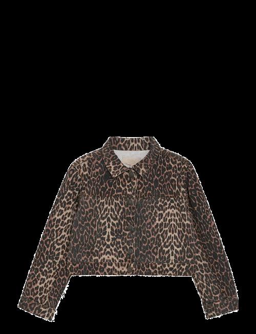Creamie | Jacket Leo | 110
