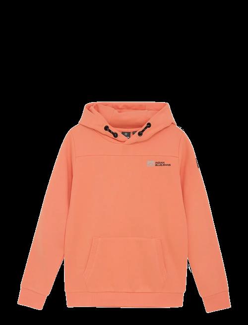 Indian Blue Jeans | Hoodie Kangaroo Pocket | 110