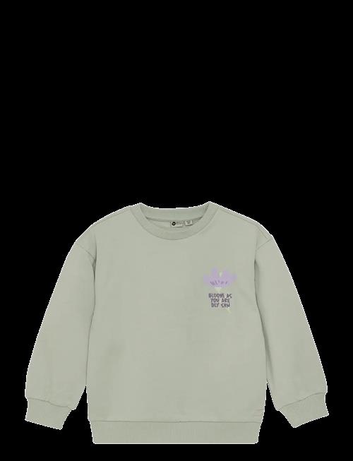 Daily 7 | Sweater Backprint | 110