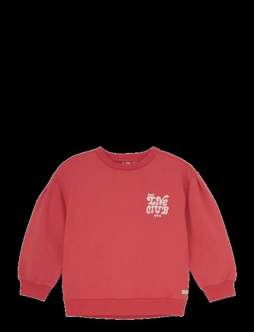 Daily 7 | Sweater Brushed Print | 116