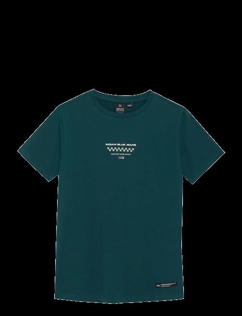 Indian Blue Jeans | T-Shirt Chest And Backprint | 164