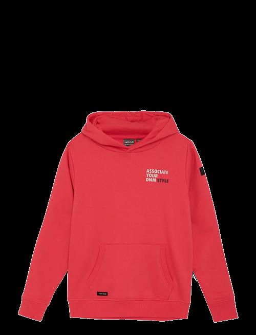 Indian Blue Jeans | Hoodie Ibj | 116