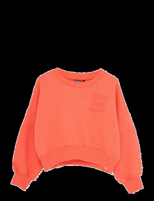 Indian Blue Jeans | Sweater Bright | 152