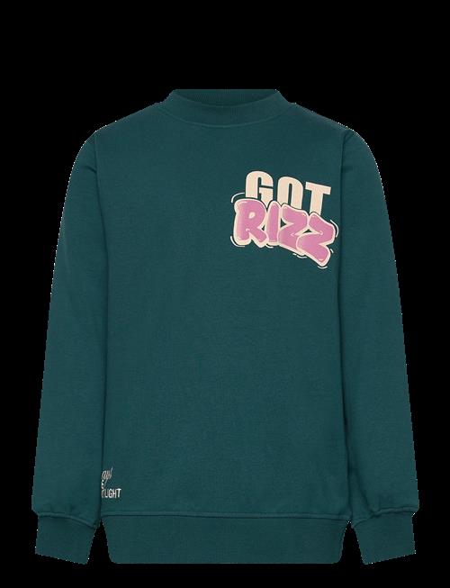 The New | Tnreg Sweatshirt | 122/128
