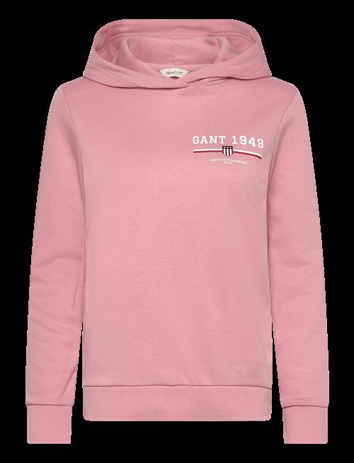 Gant | Reg Graphic Hoodie | S