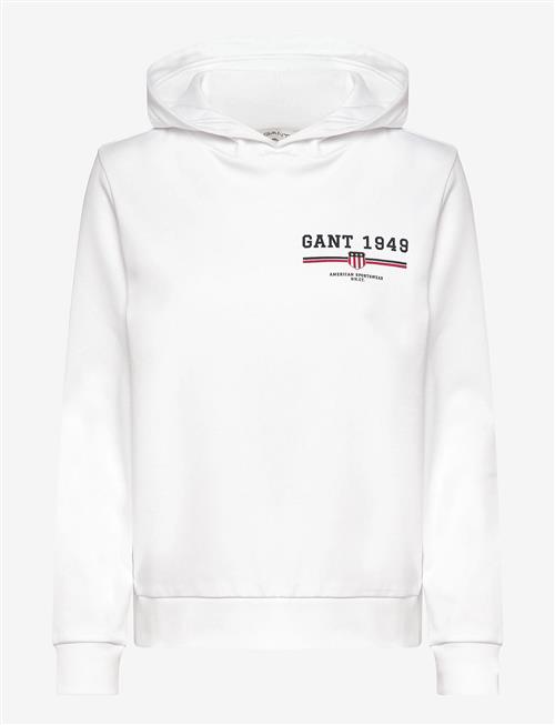 Gant | Reg Graphic Hoodie | XS