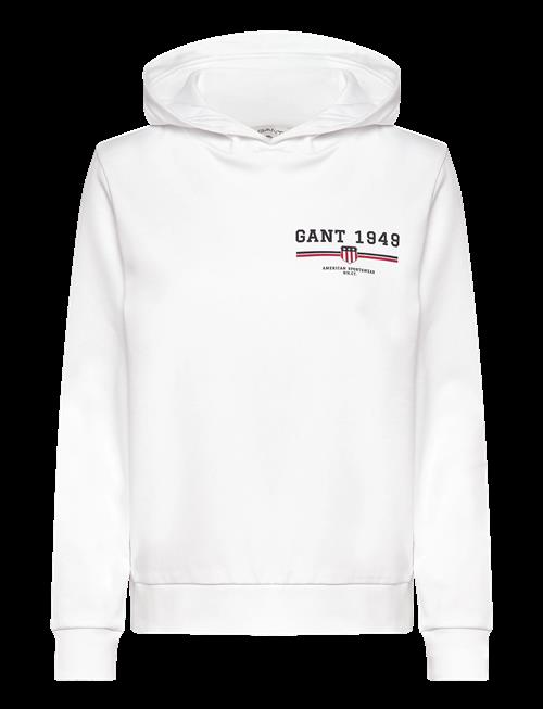 Gant | Reg Graphic Hoodie | L