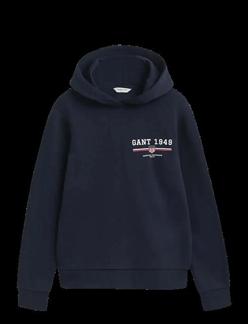 Gant | Reg Graphic Hoodie | XXL