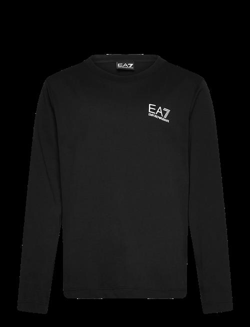EA7 | T-Shirt | 16 A
