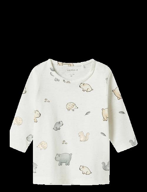 name it | Nbnluma Ls Top | 62