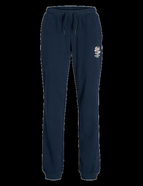 Jack & Jones | Jpstelogo Sweatpants 2Col 25/26 Noos Mni | 104