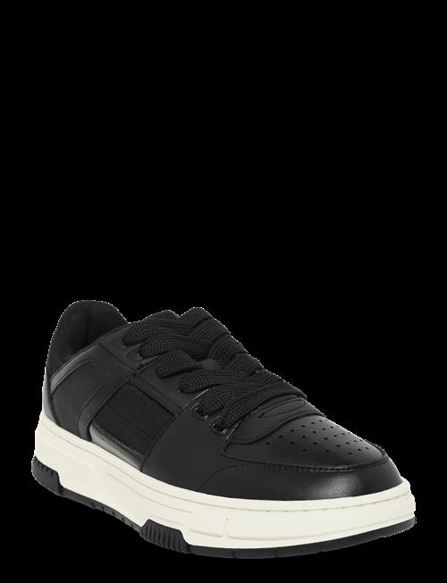 HUGO | Yarrow_Tenn_Nyptpu | 41