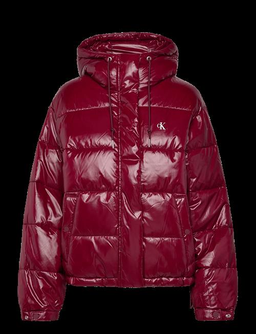 Calvin Klein Jeans | Shine Puffer Jacket | M