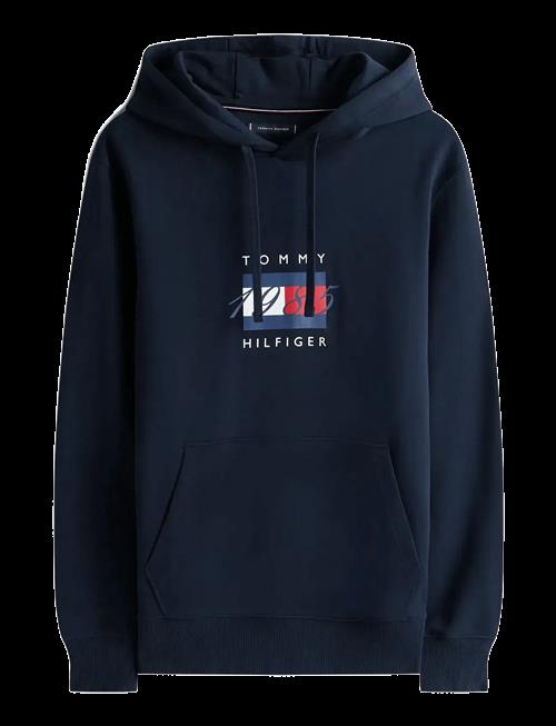 Tommy Hilfiger | Linear Flag Graphic Hoodie | S