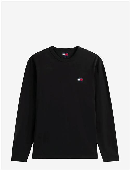 Tommy Jeans | Tjm Reg Badge Tee Ls | XS