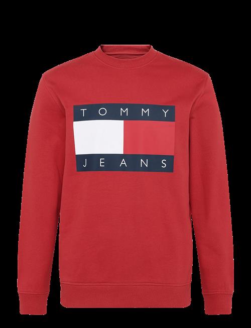 Tommy Jeans | Tjm Reg Big Flag Cneck Ext | S
