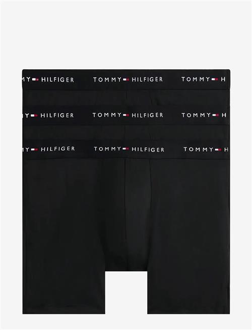 Tommy Hilfiger | 3P Boxer Brief Dtm | M