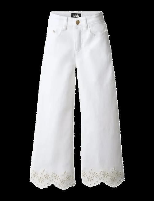 Molo | Ava | 104
