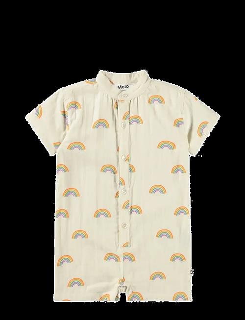 Molo | Falkone | 92