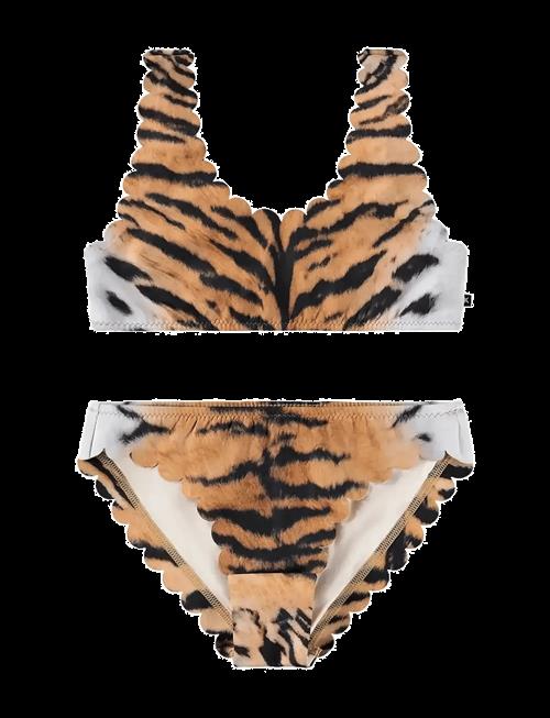 Molo | Nolina | 110/116