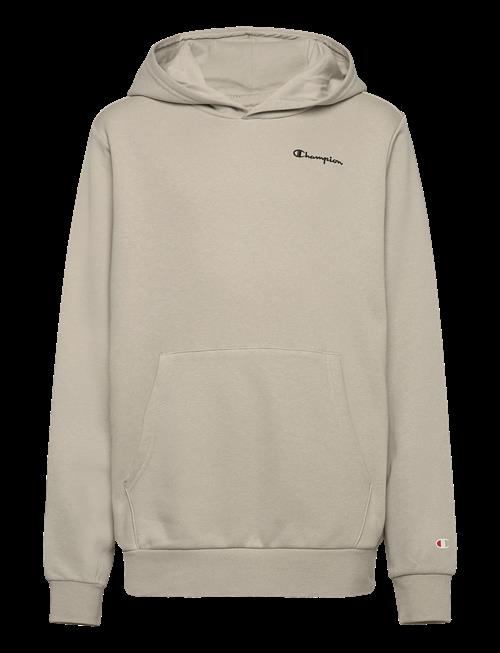 Champion | Hooded Sweatshirt | 116