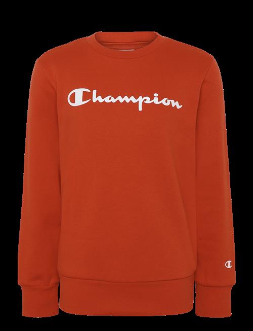 Champion | Crewneck Sweatshirt | 102-107