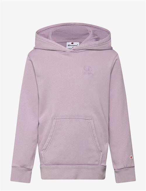 Champion | Hooded Sweatshirt | 116